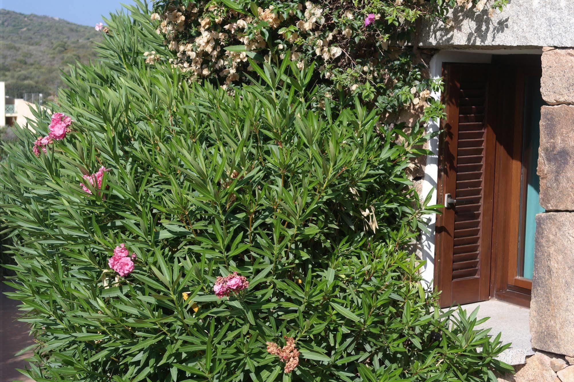 Sardinia Blu Residence 골푸아랑시 외부 사진